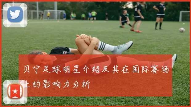 贝宁足球明星介绍及其在国际赛场上的影响力分析