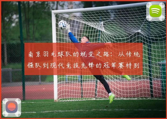 南京羽毛球队的蜕变之路：从传统强队到现代竞技先锋的冠军赛特别报道