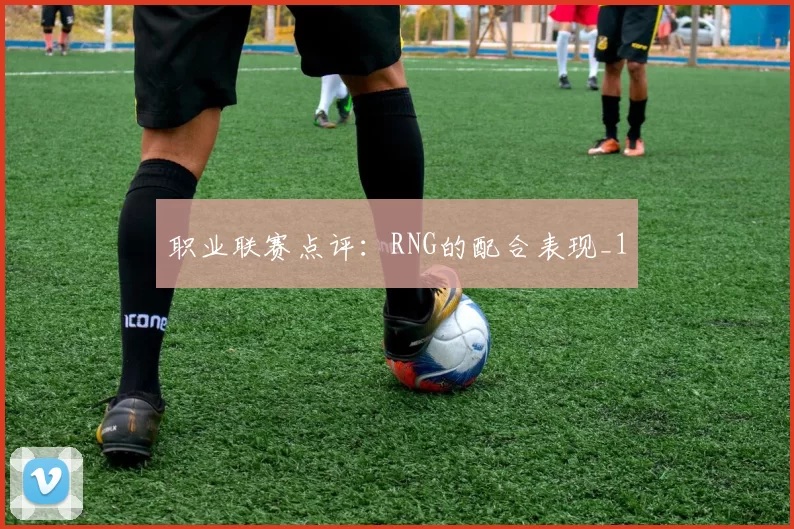 职业联赛点评：RNG的配合表现_1