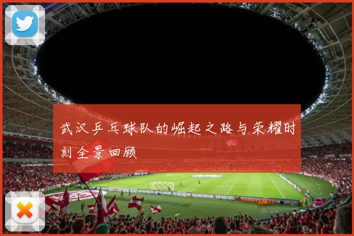 武汉乒乓球队的崛起之路与荣耀时刻全景回顾