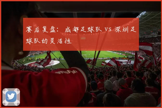 赛后复盘：成都足球队 vs 深圳足球队的灵活性